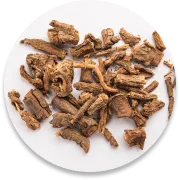 Sarsaparilla root, one of the botanicals pictured on the Gluco Recover sales page