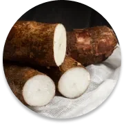 Wild yam root, one of the botanicals pictured on the Gluco Recover sales page